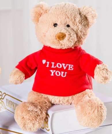 love you teddy bear karachi